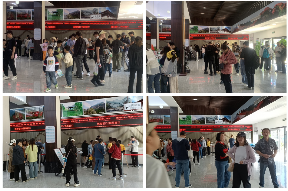 1728029807795120.png image.png