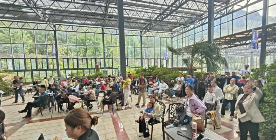 1728117034462520.png image.png