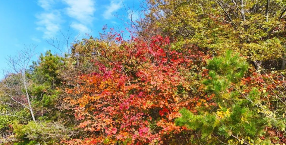 1730961312323680.png image.png