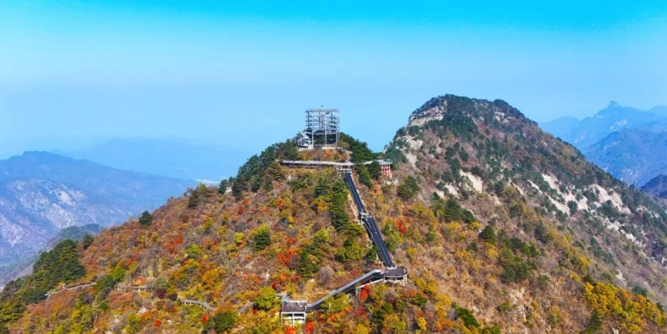 1730961342155287.png image.png