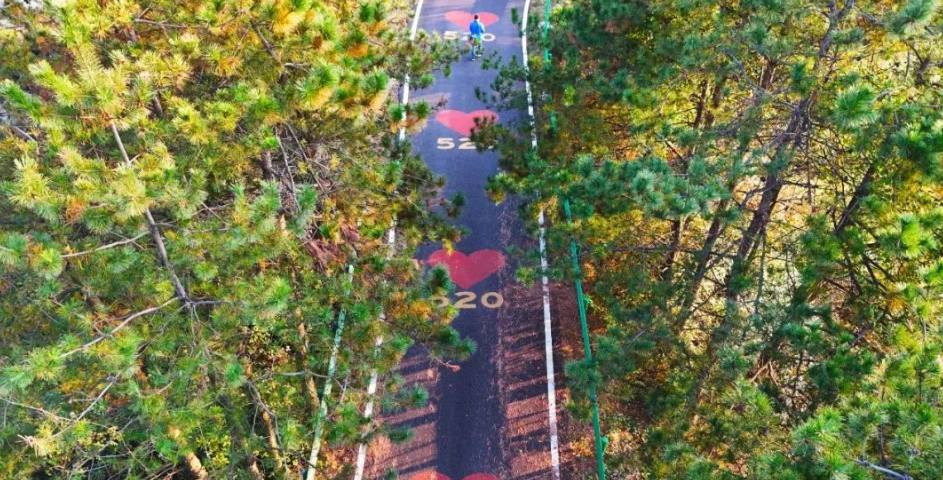 1730961369731653.png image.png