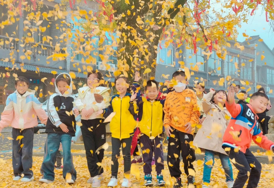 1731808543984253.png image.png