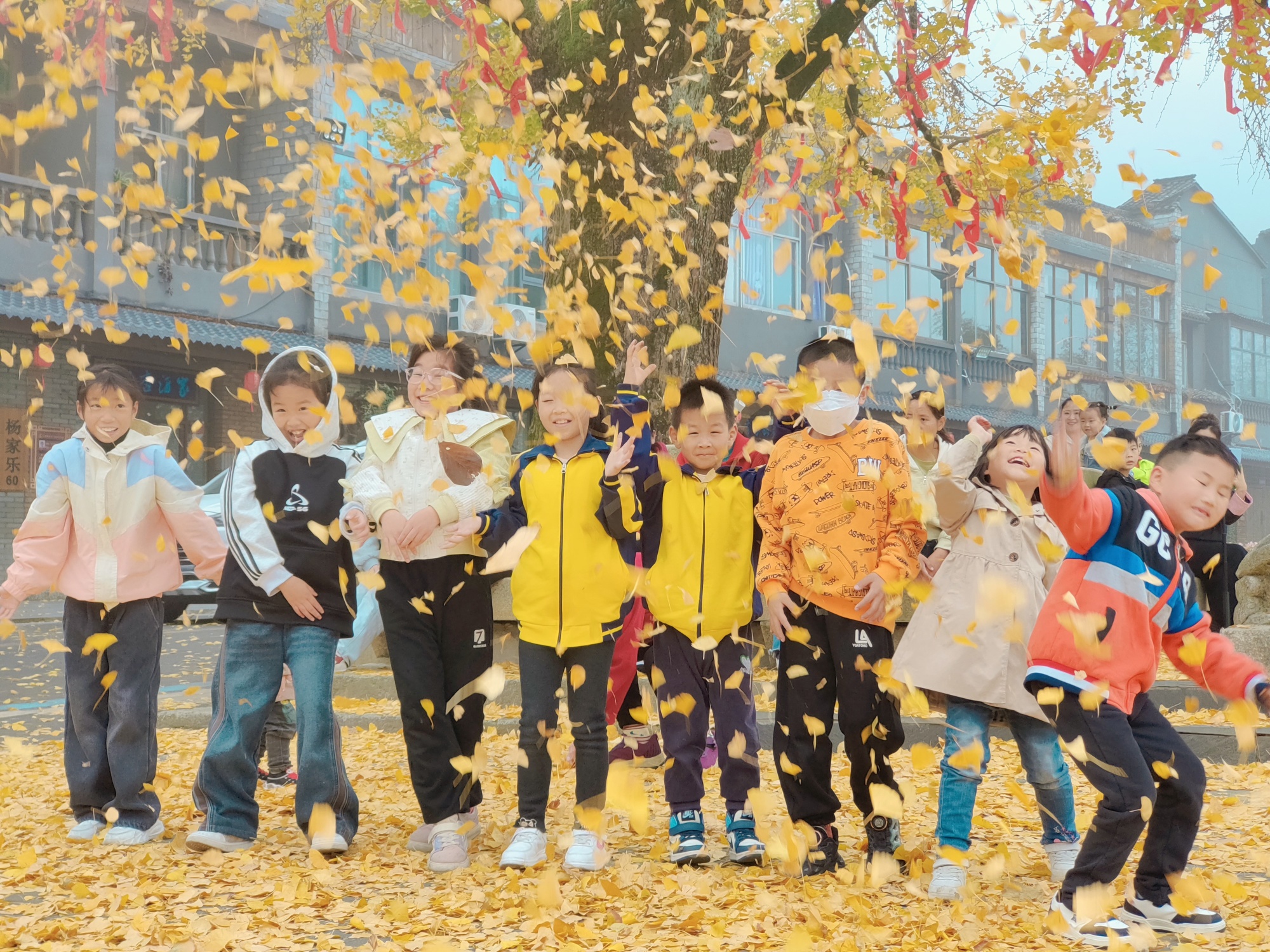 1731914035163131.jpg 微信图片_20241116180013_副本.jpg