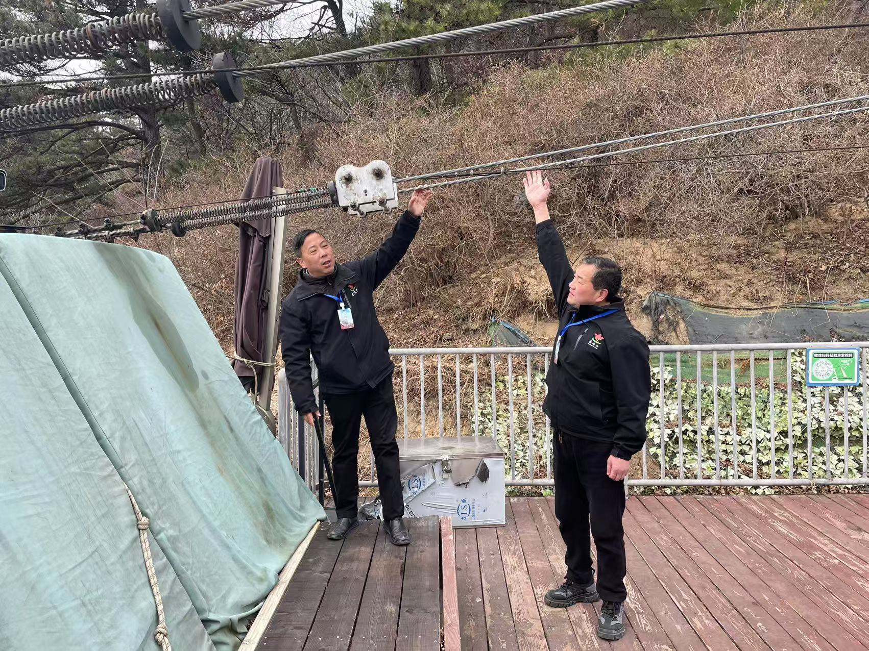 1735203801574688.jpg adf552de7ff0febec32a3715dadaa9a.jpg