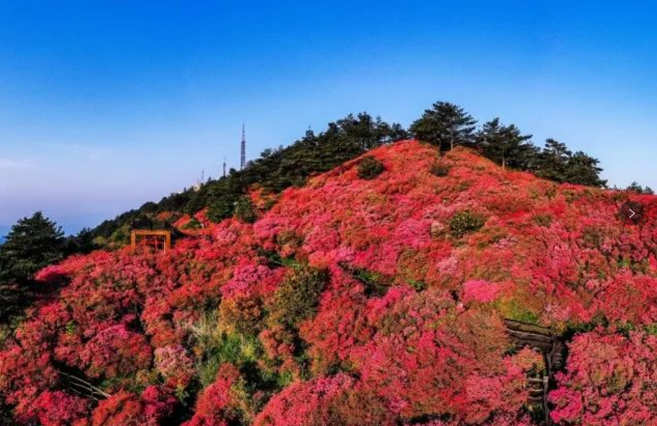 1737184681823689.png image.png