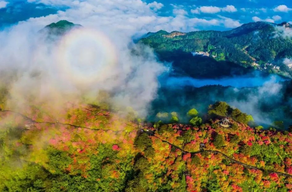 1737184733544345.png image.png