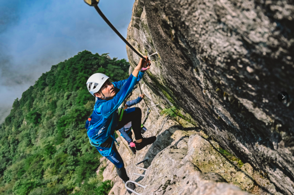 1737184748169801.png image.png