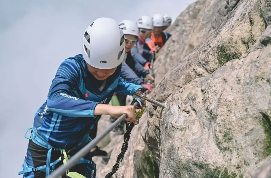 1737184812670955.png image.png