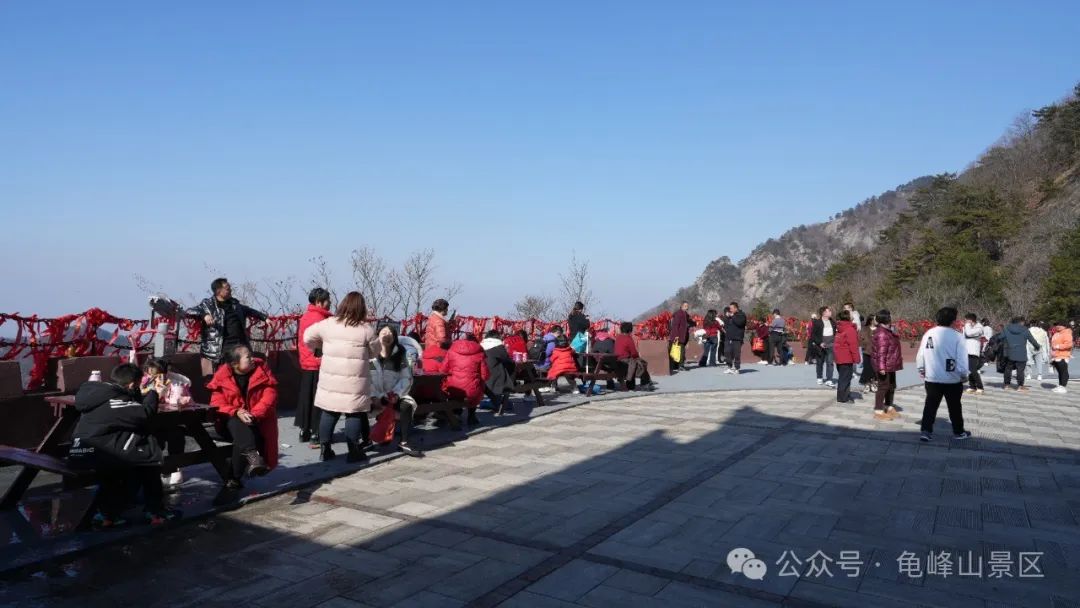 1738464225718079.jpg 03.jpg