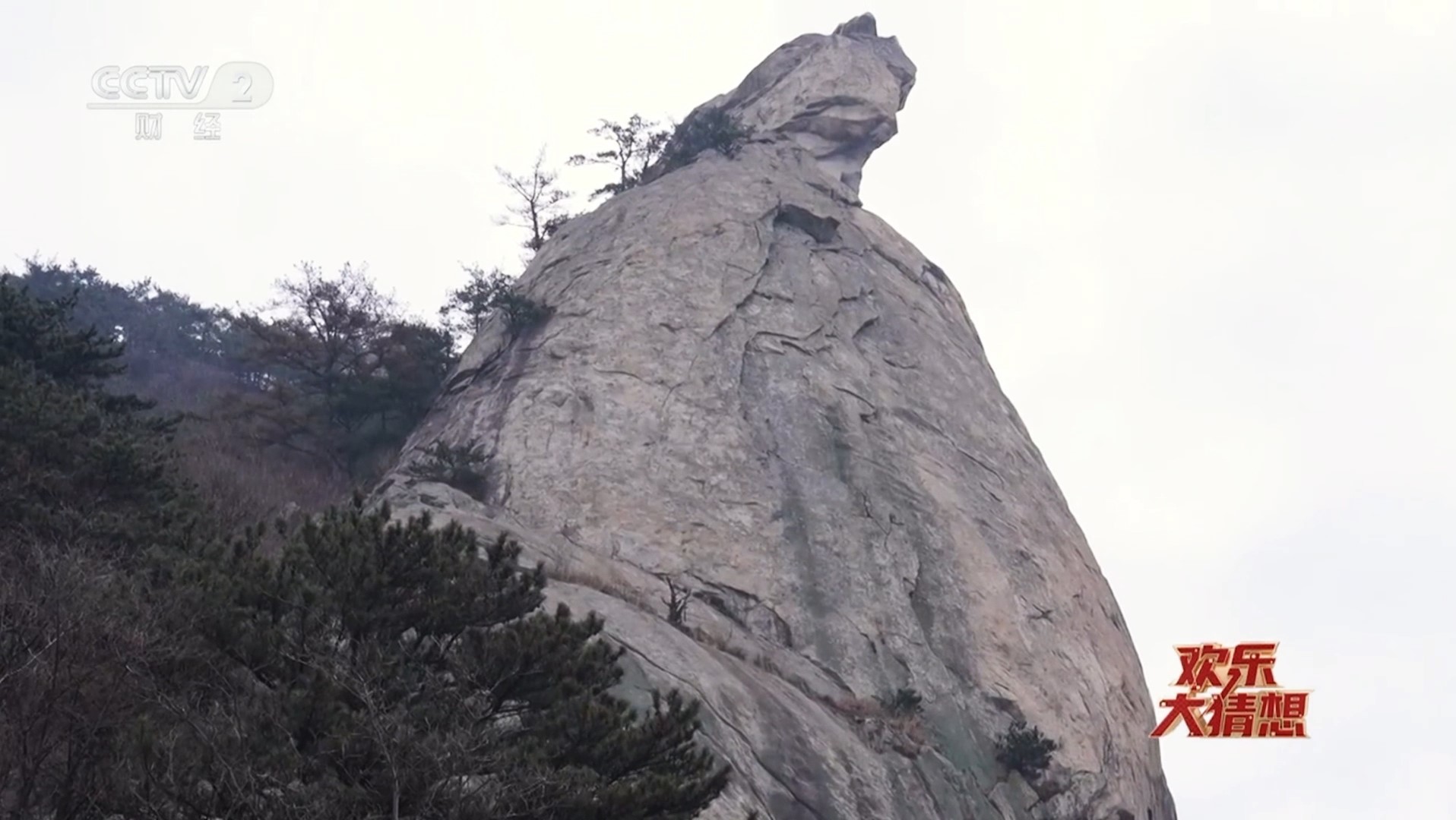 1739773278239267.jpg 8fbc51c2acb1241ad8cb18f2180de9c.jpg