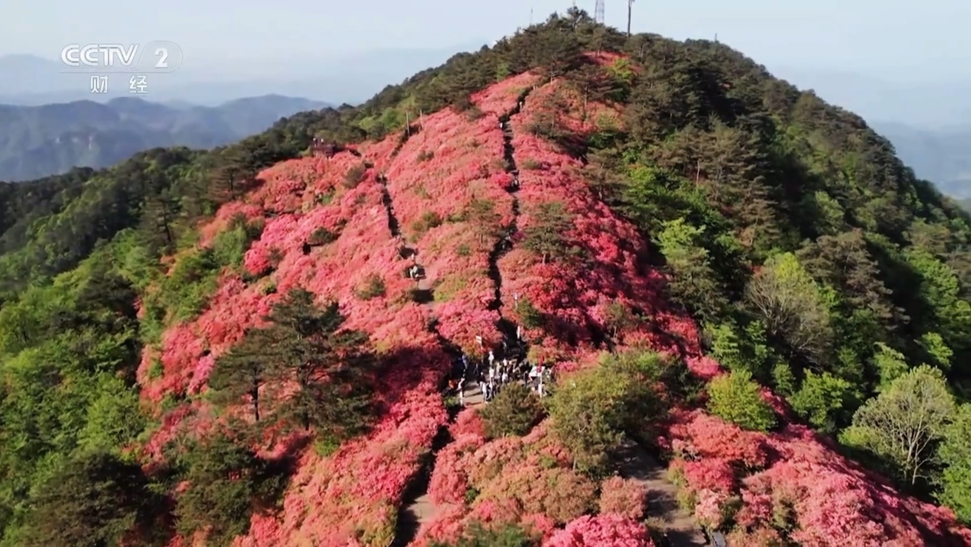 1739773360893360.jpg c5b3876facd6879756b310007727b05.jpg