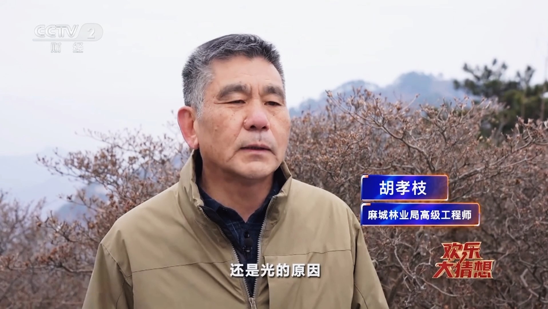 1739773401309450.jpg 3982029c5efc71e2f20a22efb3a88ea.jpg