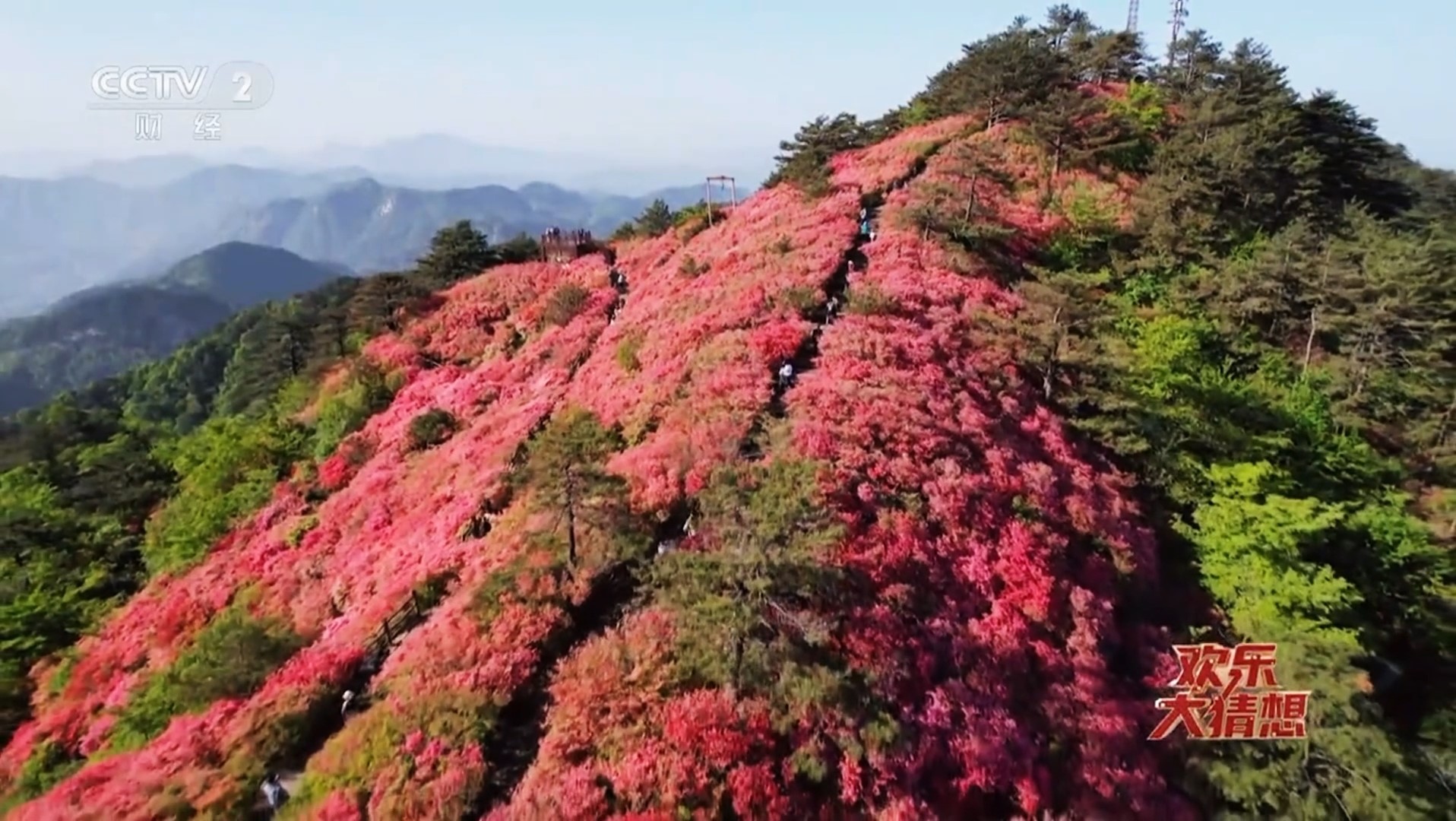 1739773424975694.jpg 5fd72ba6eb6e5545ad1be1f23ad47ad.jpg