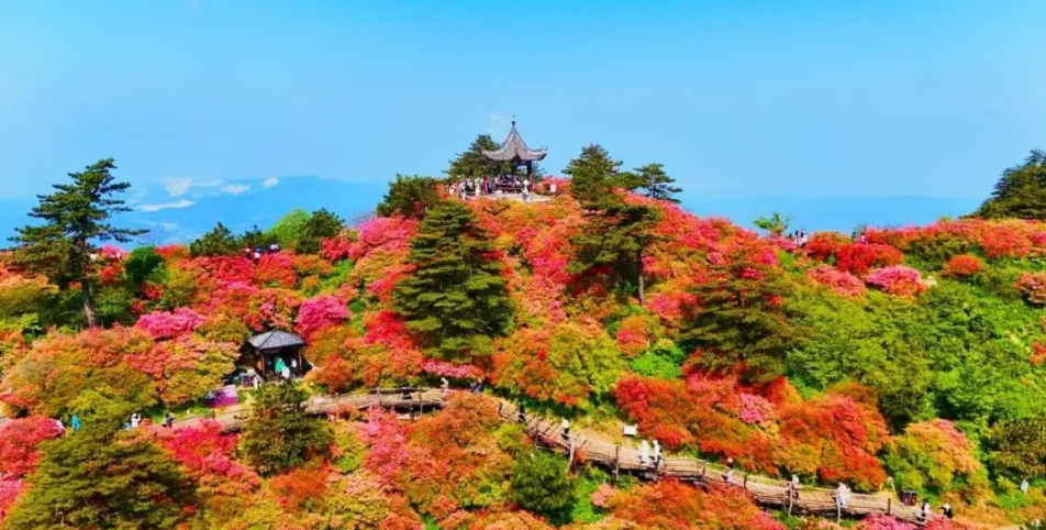 1740820475171016.png image.png