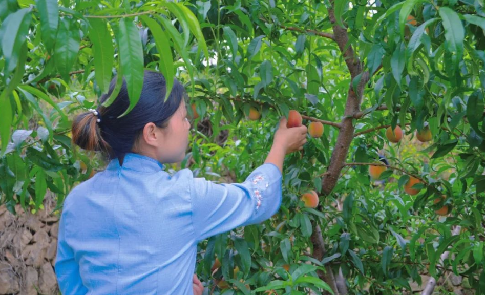 1740820522718422.png image.png