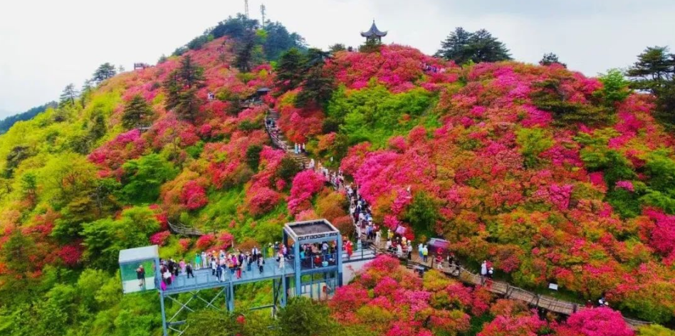 1742452793261125.png image.png