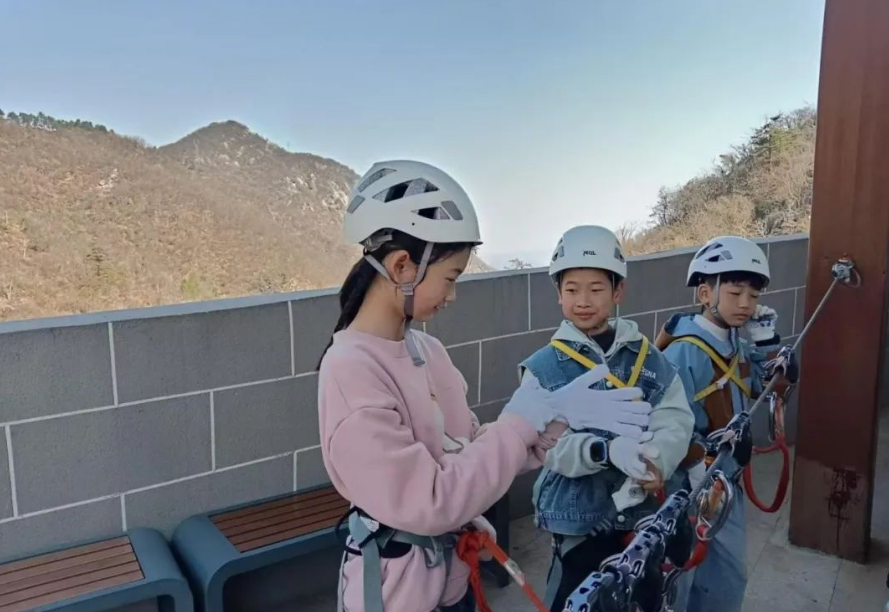 1742625268597046.png image.png