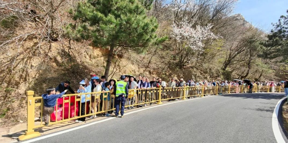 1743925702111798.png image.png