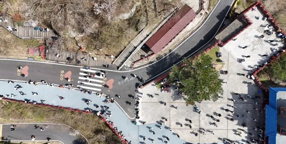 1743925715239476.png image.png