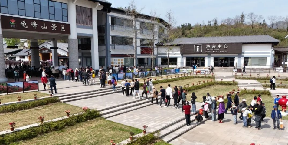 1743926382247475.png image.png