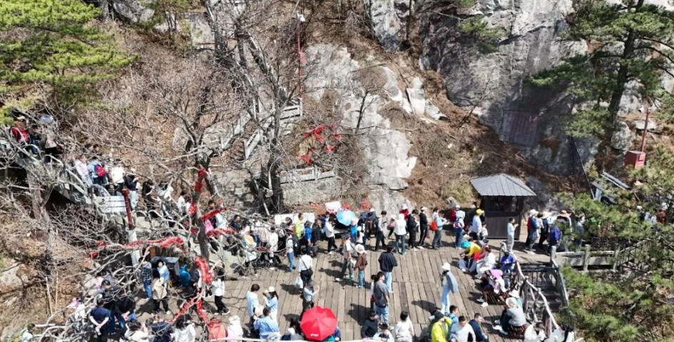 1743926396628971.png image.png