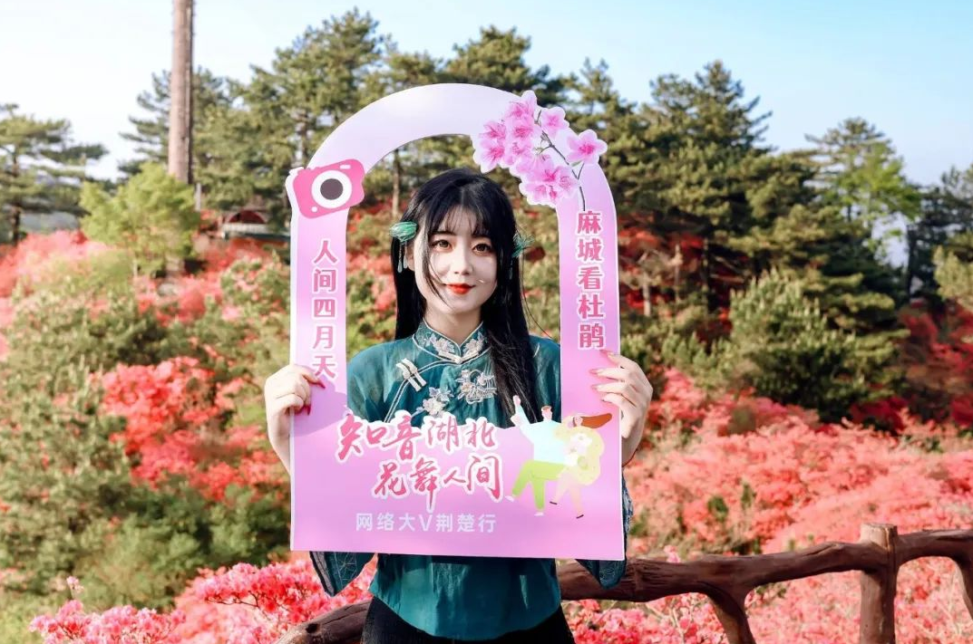 1745492375897319.png image.png