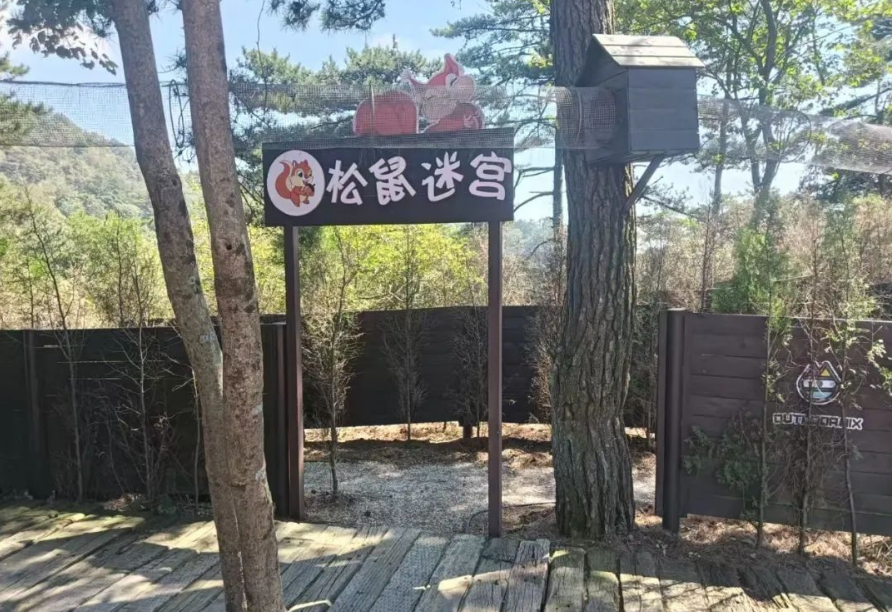 1747362367140649.png image.png