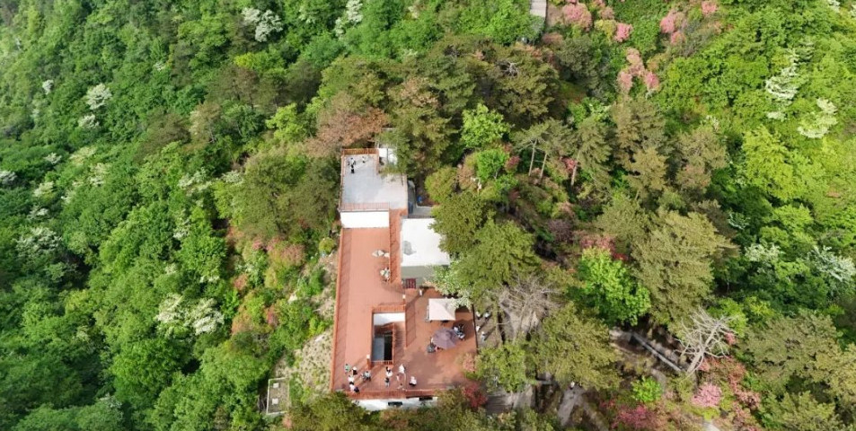 1747362377763268.png image.png