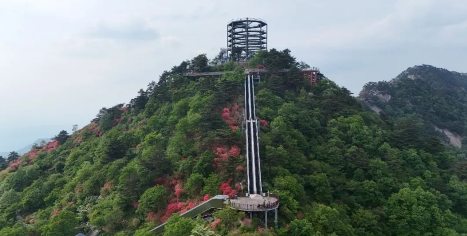 1747362400410041.png image.png