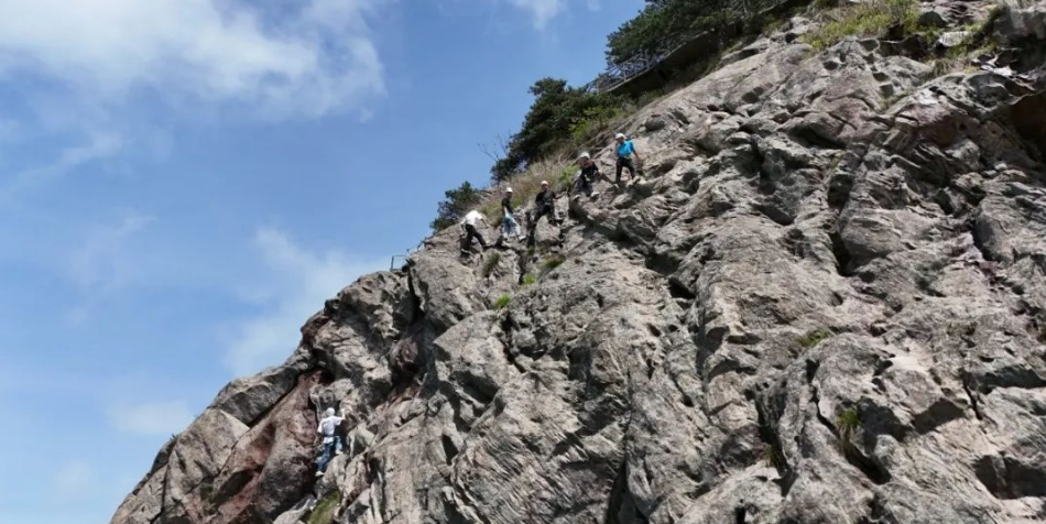 1747362411236206.png image.png