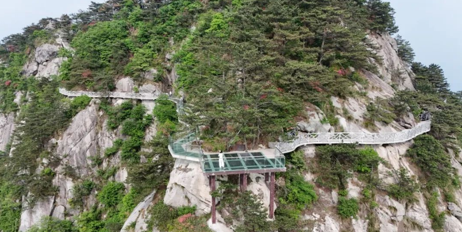 1747362421240625.png image.png