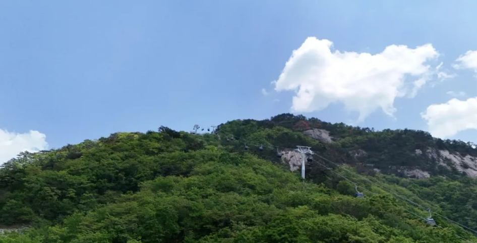 1747362451302167.png image.png