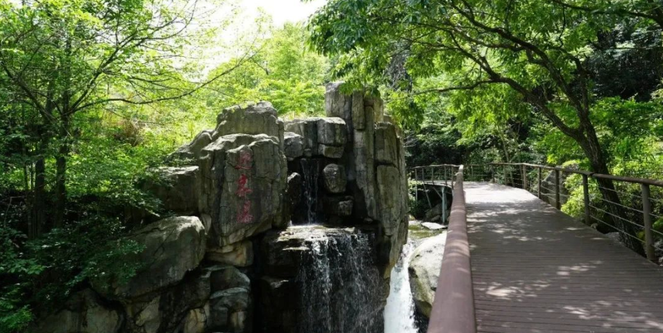 1749202265328518.png image.png