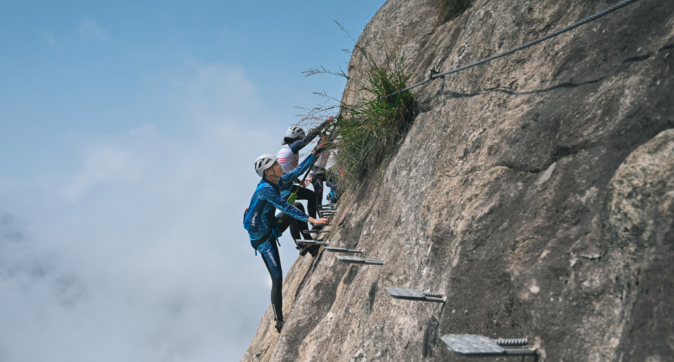 1749202320247183.png image.png