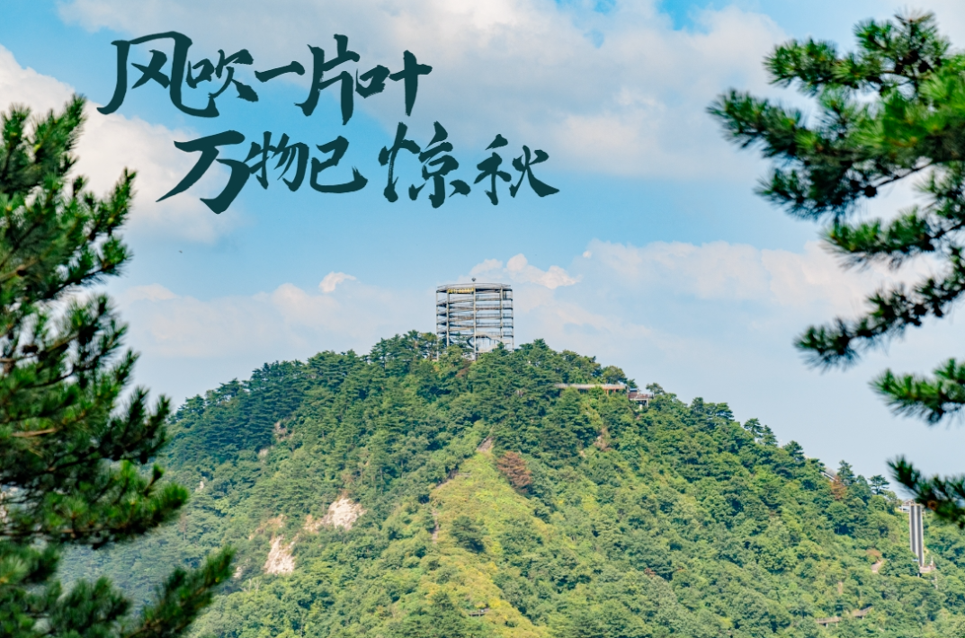 1754559167392734.png image.png