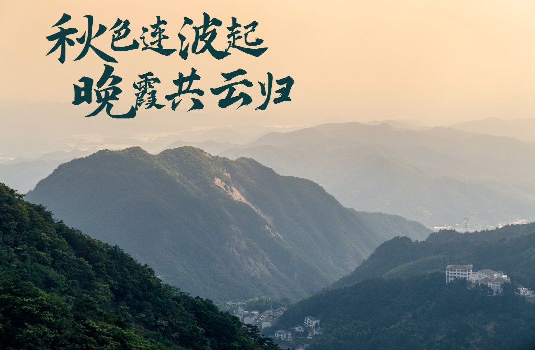 1754559494824409.png image.png