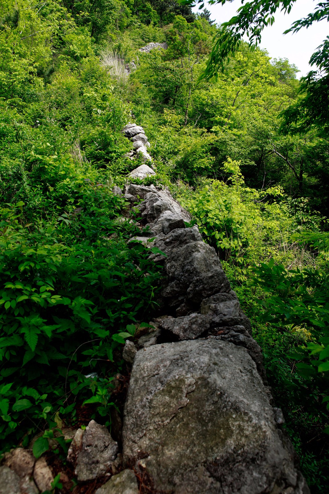 1503196685619608.jpg 雁门寨001.jpg